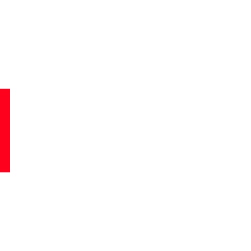 Dirigeantes